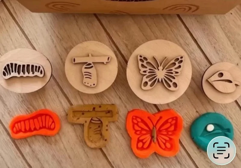 Set sellos ciclo de vida de la mariposa