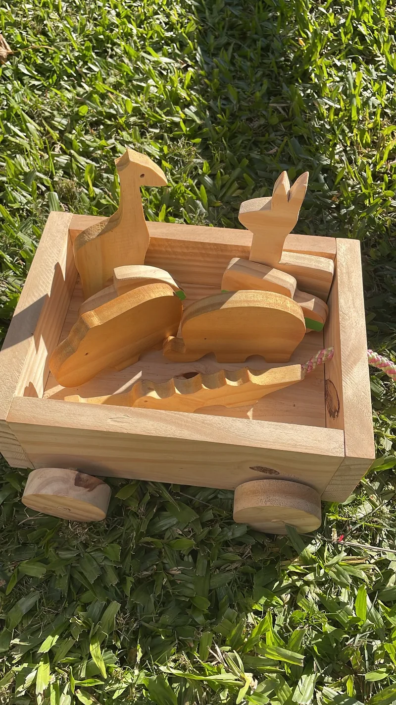 Carro de madera para guardar o transportar